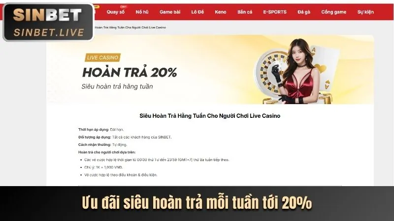 Giao diện hiện đại và trực quan dễ sử dụng